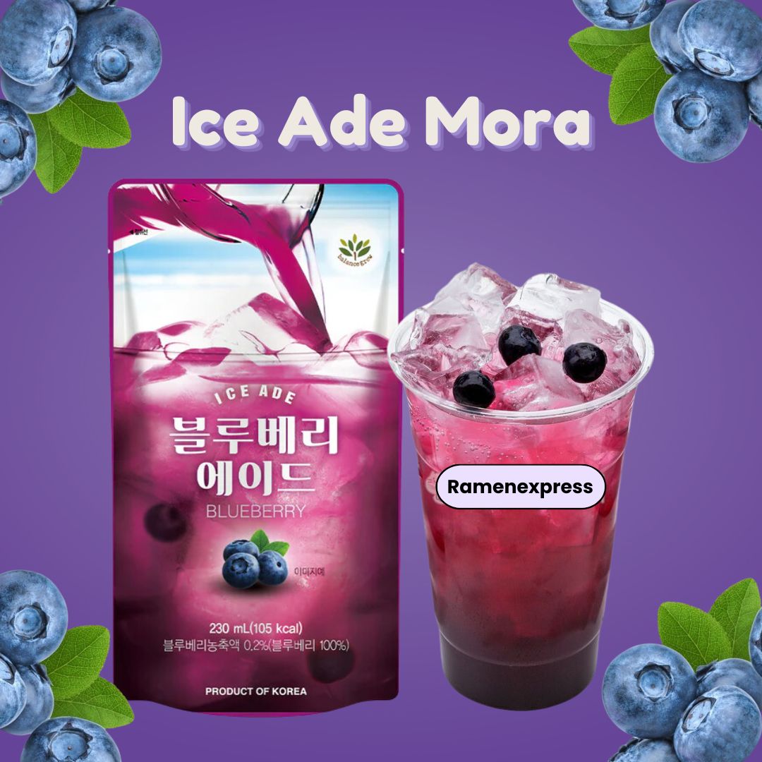 Ice Ade Mora Pack 10 piezas de 230 ml